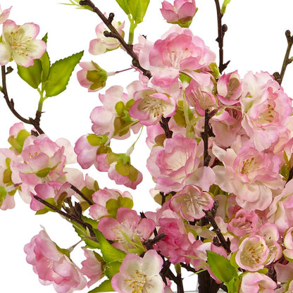 Cherry Blossom in Large Vase