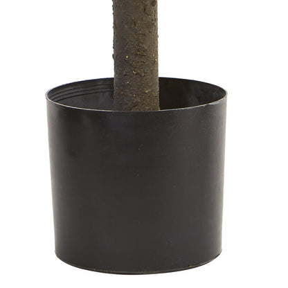 21in. Boxwood Ball Topiary Artificial Tree