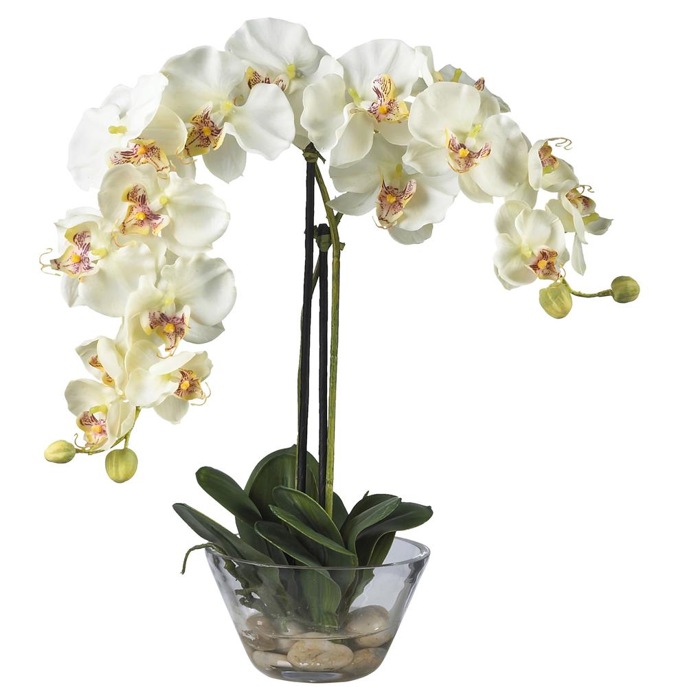 Phalaenopsis with Glass Vase Silk Flower Arrangement
