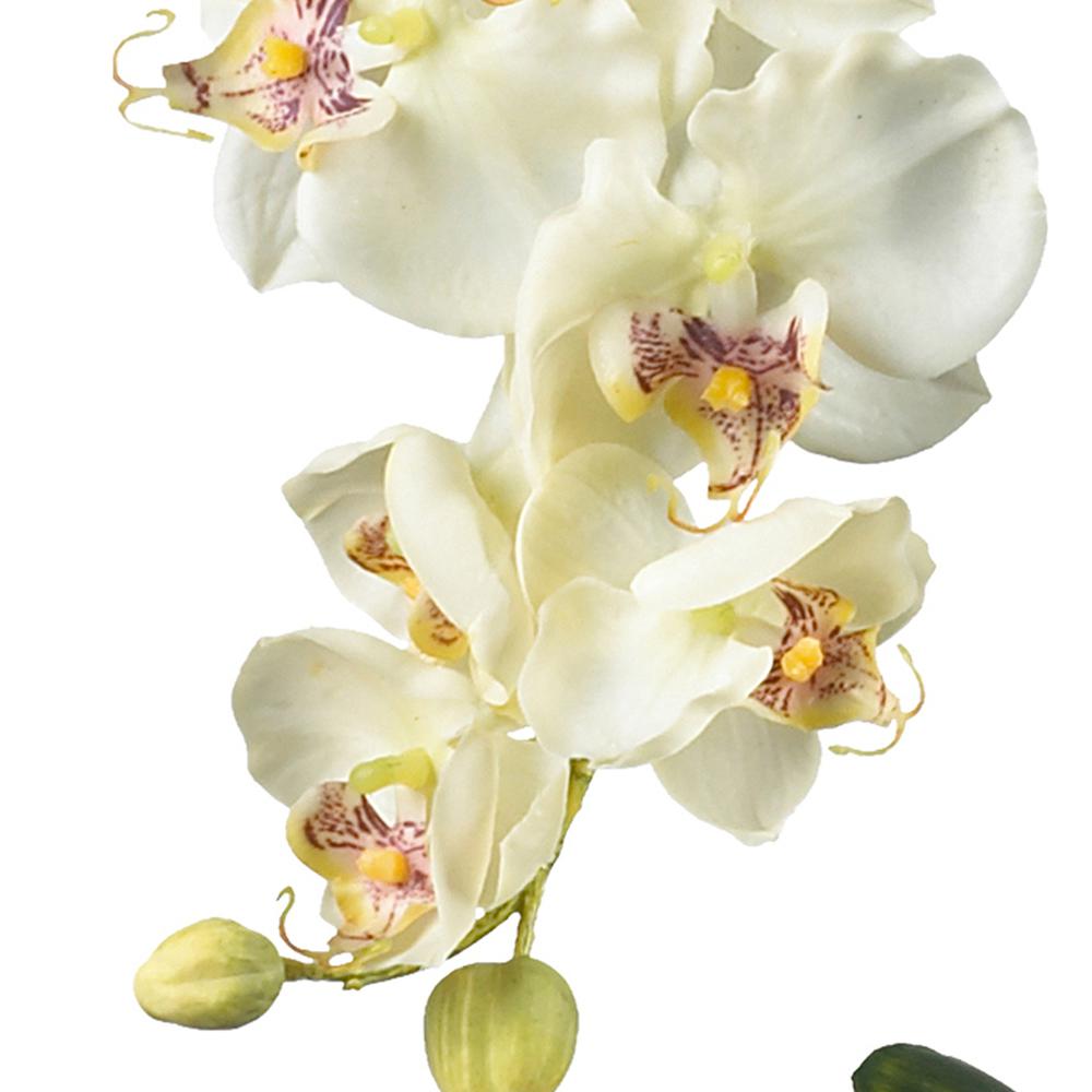 Phalaenopsis with Glass Vase Silk Flower Arrangement
