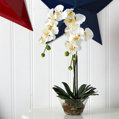 Phalaenopsis with Glass Vase Silk Flower Arrangement