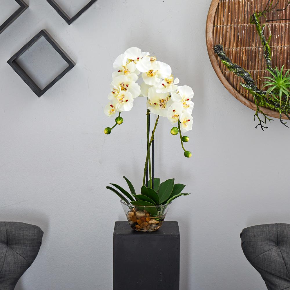 Phalaenopsis with Glass Vase Silk Flower Arrangement