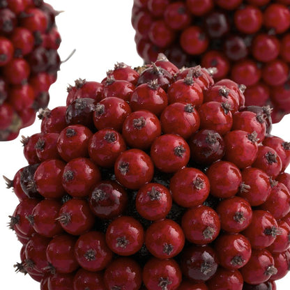 5in. Red Berry Ball (Set of 6)