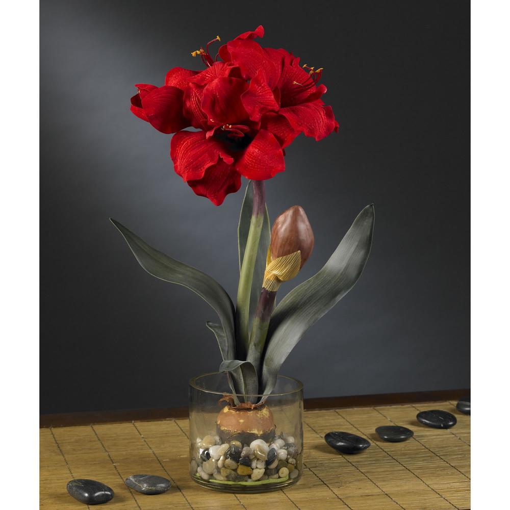 Amaryllis with Round Vase