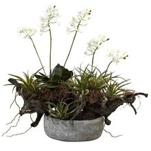 Orchid & Succulent Garden with Driftwood & Decorative Vase
