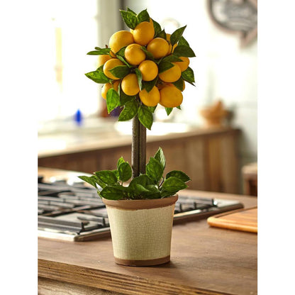 Lemon Ball Topiary Arrangement