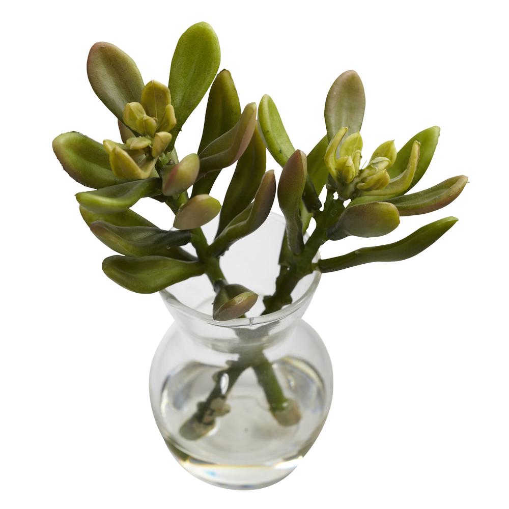 Succulent Arrangements (Set of 3)