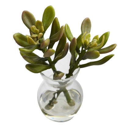 Succulent Arrangements (Set of 3)