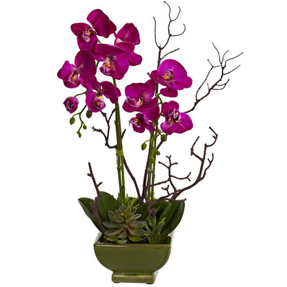 Orchid & Succulent Floral Arrangement
