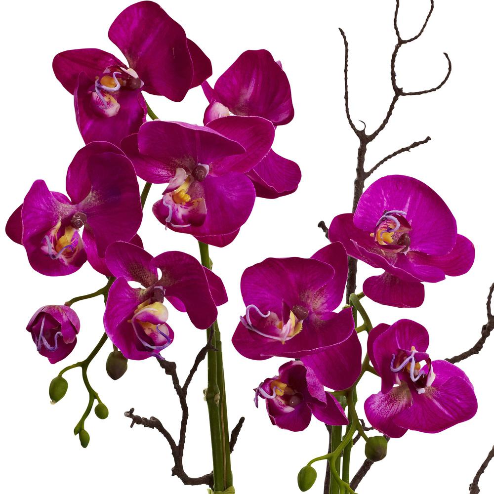 Orchid & Succulent Floral Arrangement