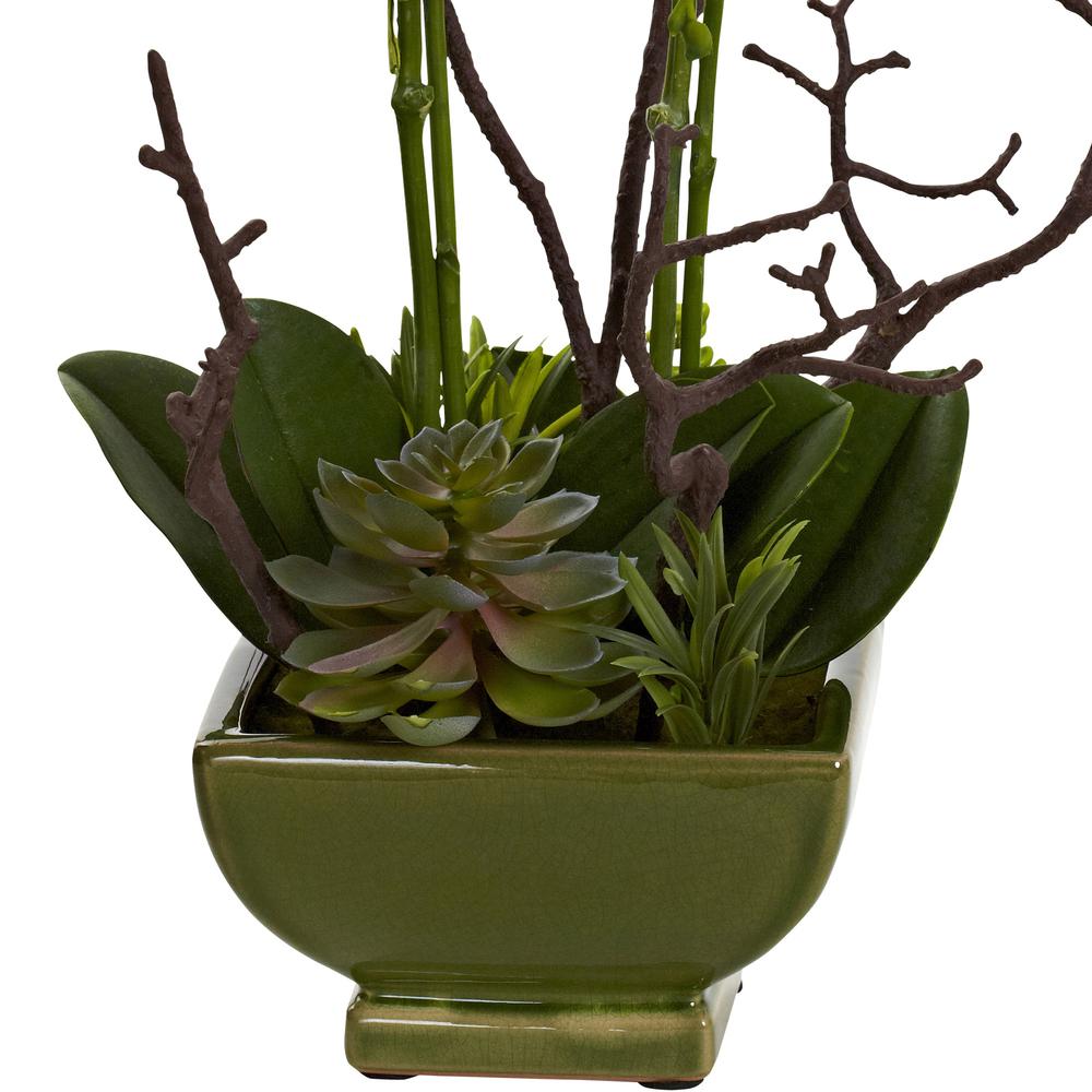 Orchid & Succulent Floral Arrangement