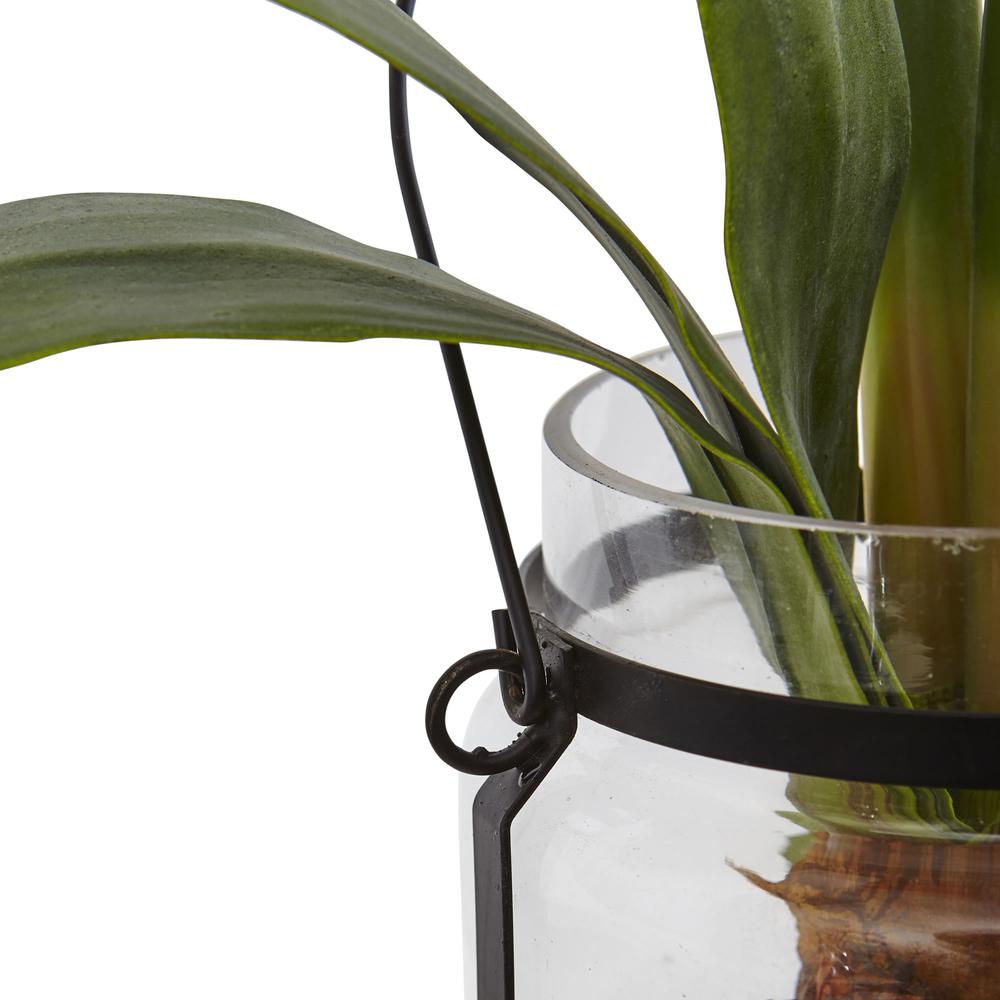 24in. Amaryllis with Vase