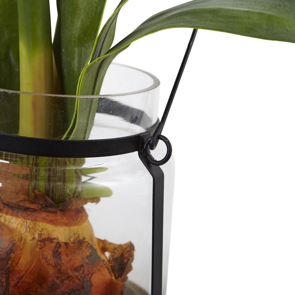 24in. Amaryllis with Vase
