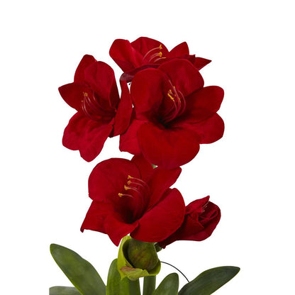 24in. Amaryllis with Vase