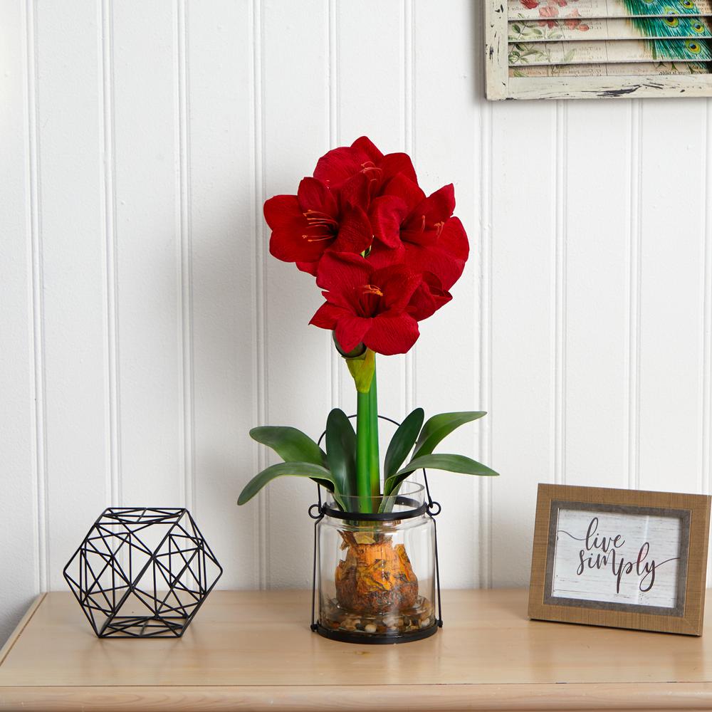 24in. Amaryllis with Vase