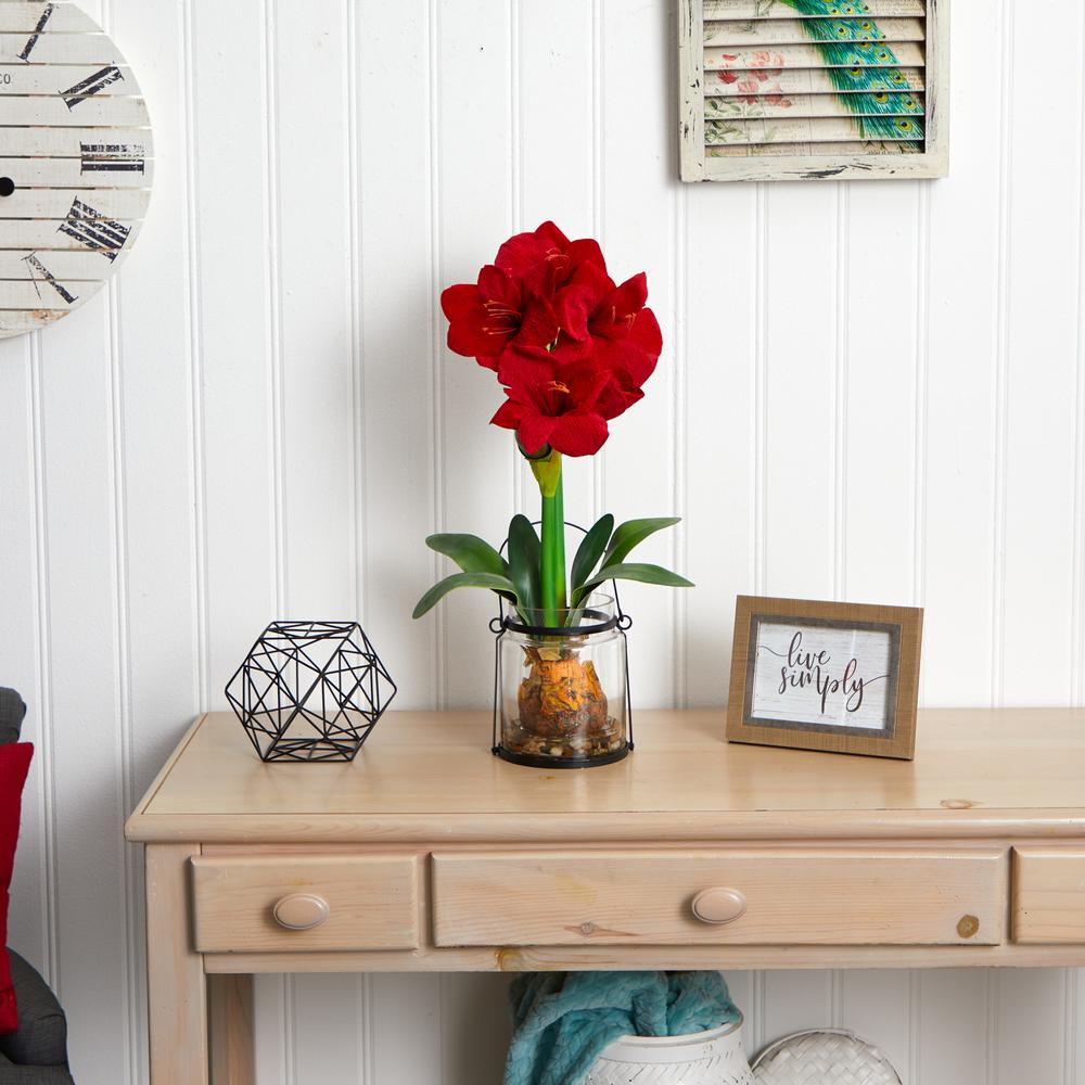 24in. Amaryllis with Vase
