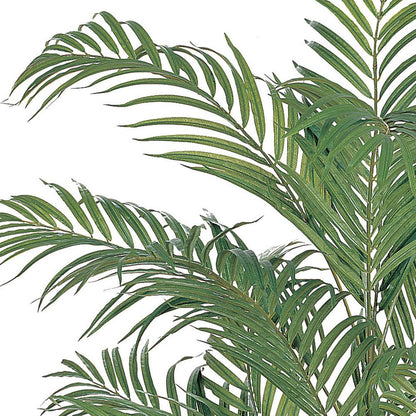 4ft. Areca Silk Palm Tree