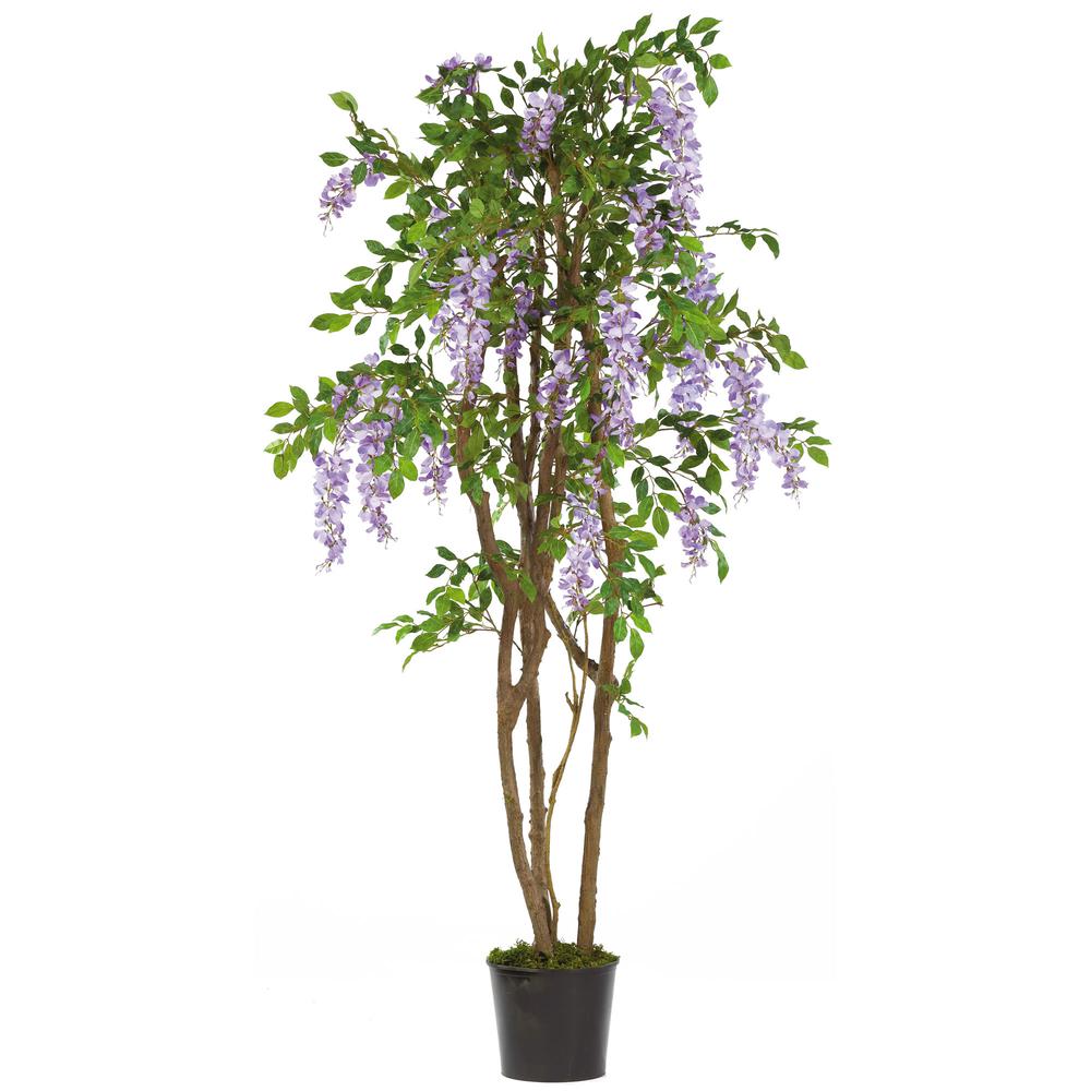 5ft. Wisteria Silk Tree