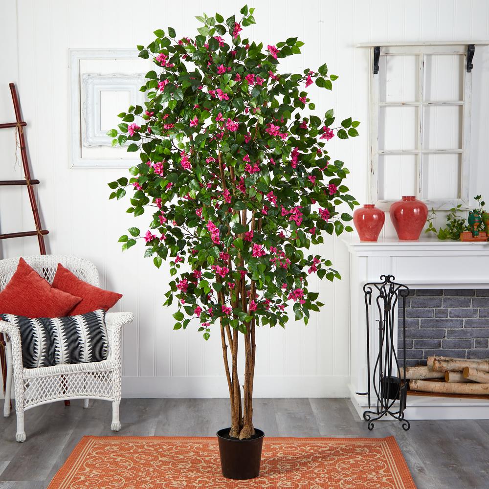 6ft. Bougainvillea Silk Tree