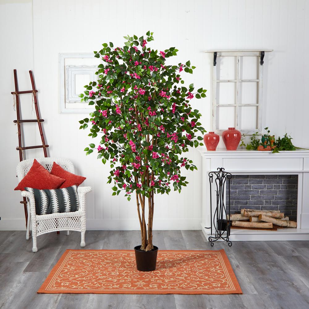 6ft. Bougainvillea Silk Tree