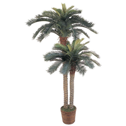 6ft. & 4ft. Sago Palm Double Potted Silk Tree