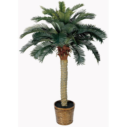 4ft. Sago Silk Palm Tree