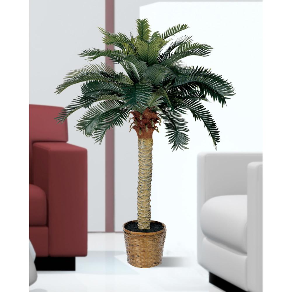 4ft. Sago Silk Palm Tree