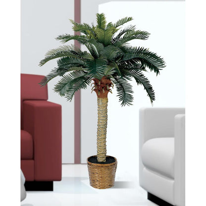4ft. Sago Silk Palm Tree