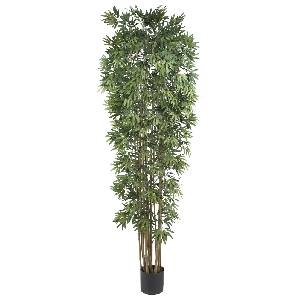 7ft. Bamboo Japonica Silk Tree