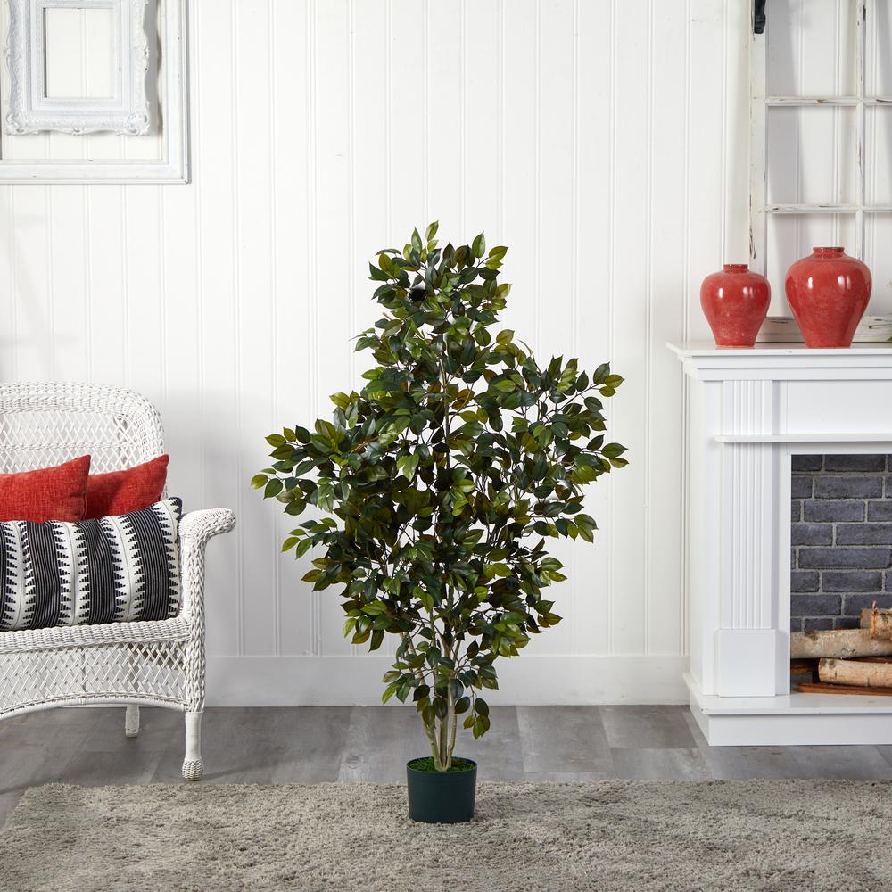 4ft. Ficus Silk Tree Green