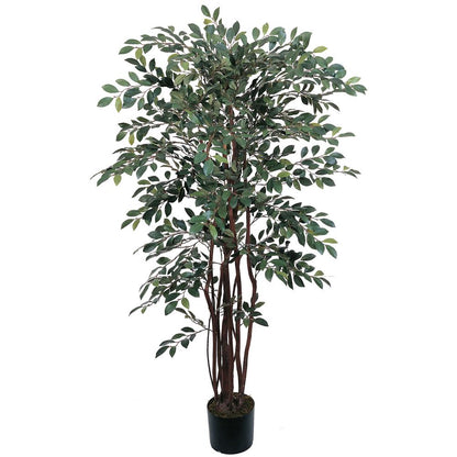 4ft. Ruscus Silk Tree