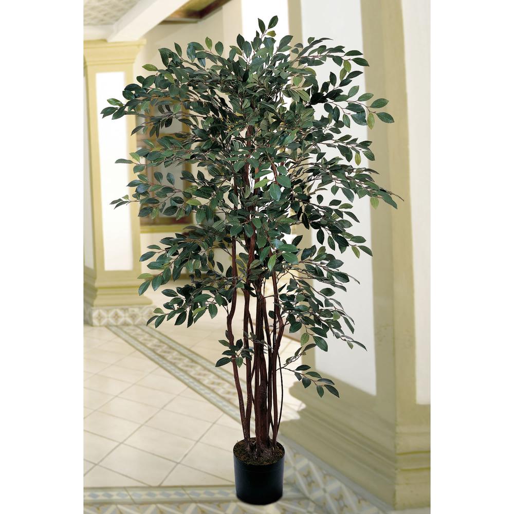 4ft. Ruscus Silk Tree