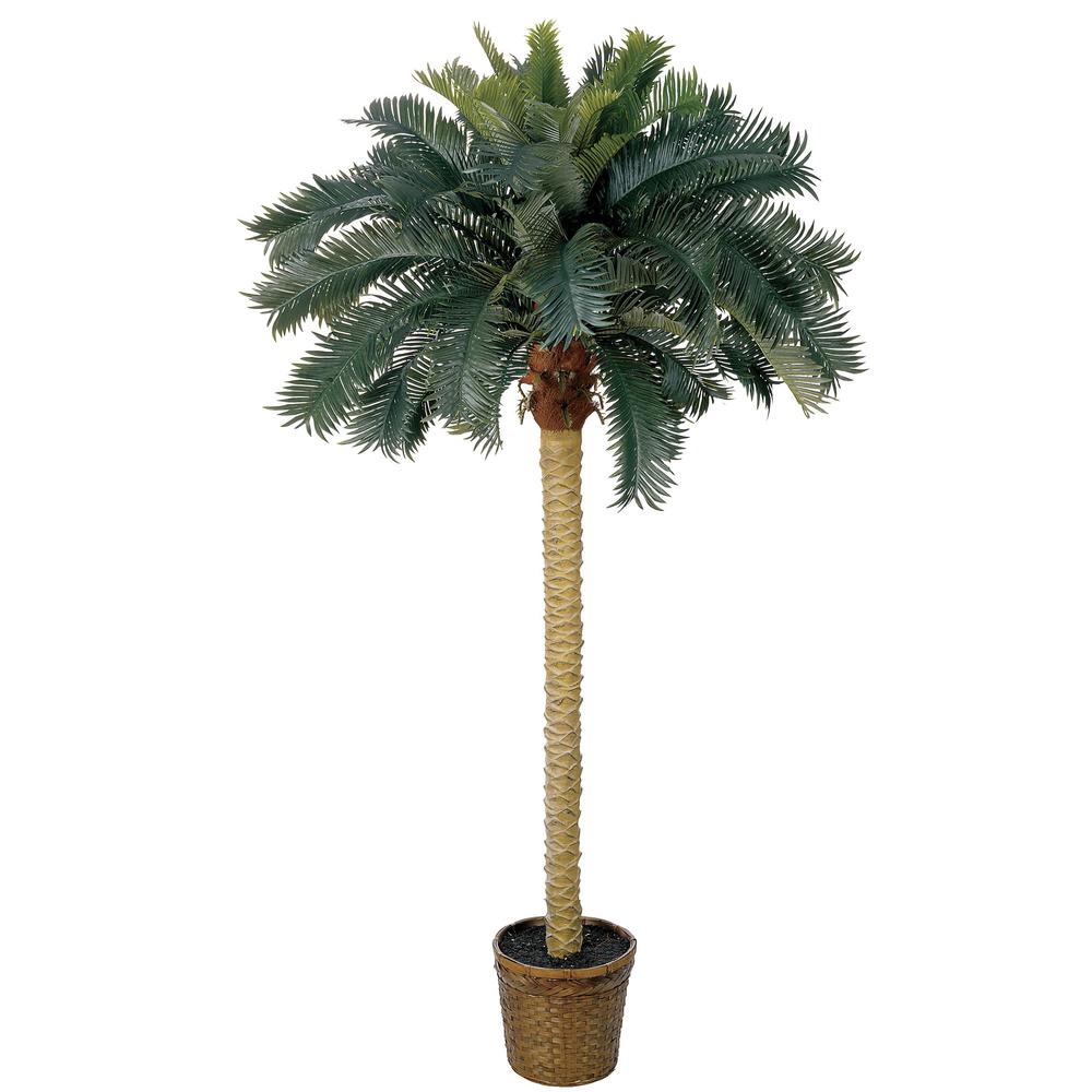 6ft. Sago Palm Silk Tree