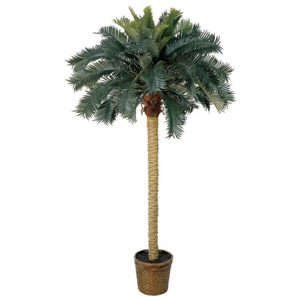 6ft. Sago Palm Silk Tree