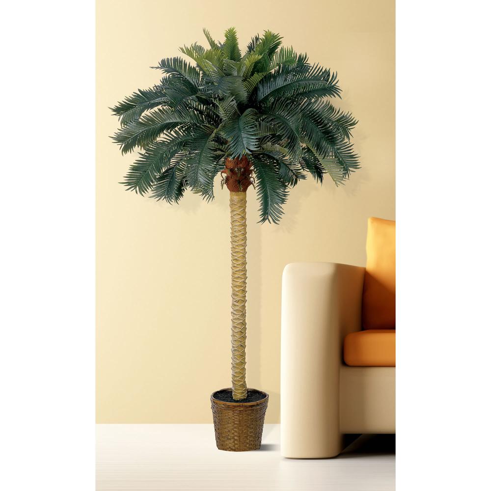 6ft. Sago Palm Silk Tree
