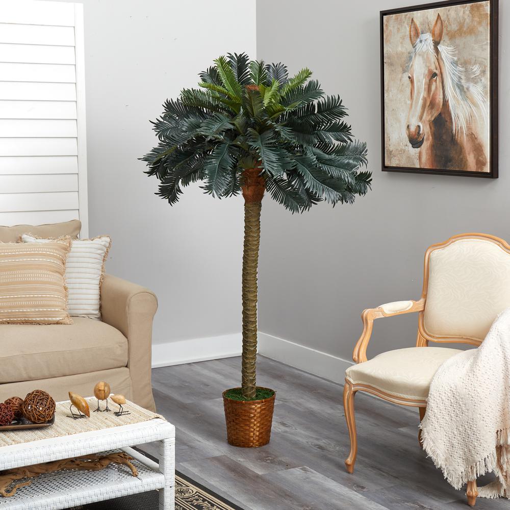 6ft. Sago Palm Silk Tree