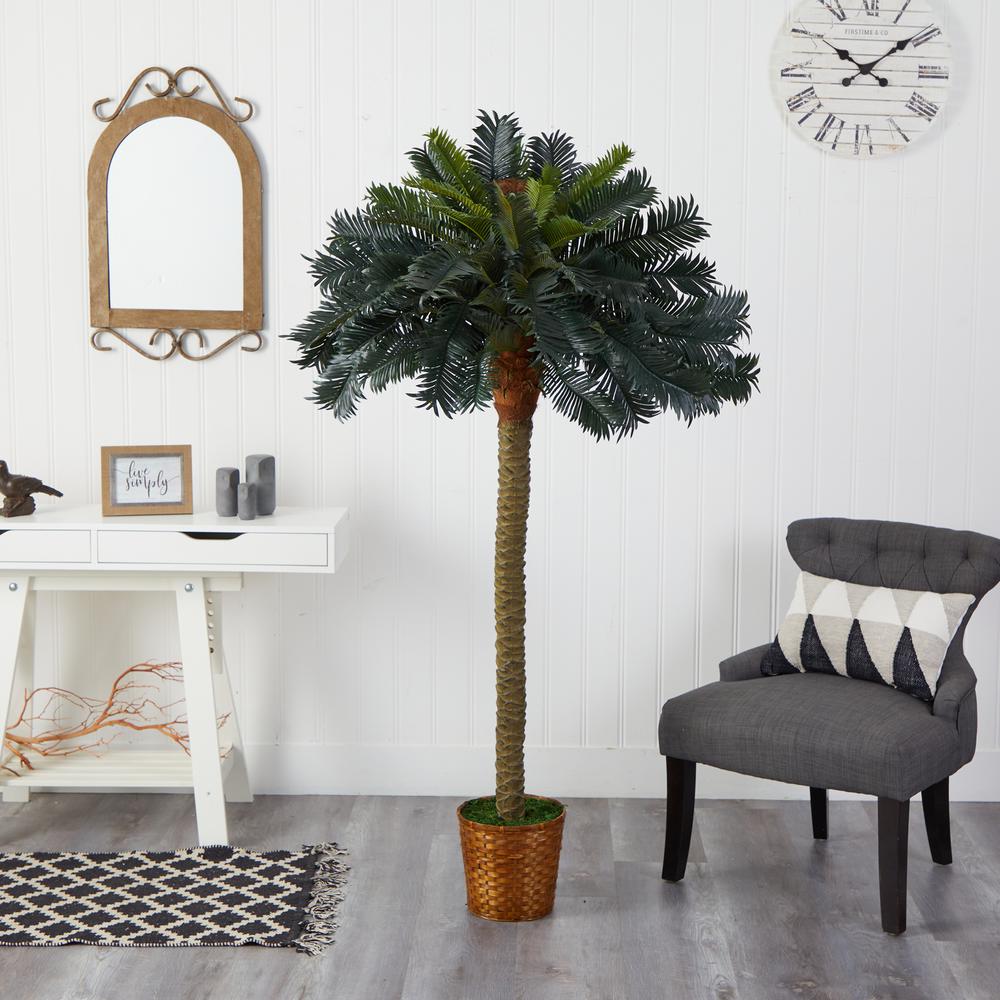 6ft. Sago Palm Silk Tree