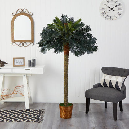 6ft. Sago Palm Silk Tree