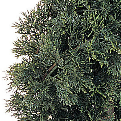 5ft. Cedar Spiral Silk Tree (Indoor/Outdoor)