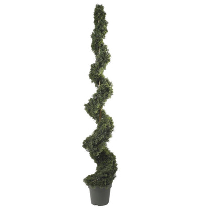 6ft. Cedar Spiral Silk Tree (Indoor/Outdoor)