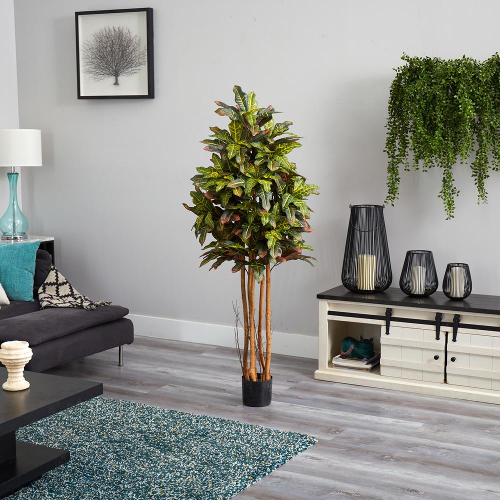 5ft. Croton Silk Tree