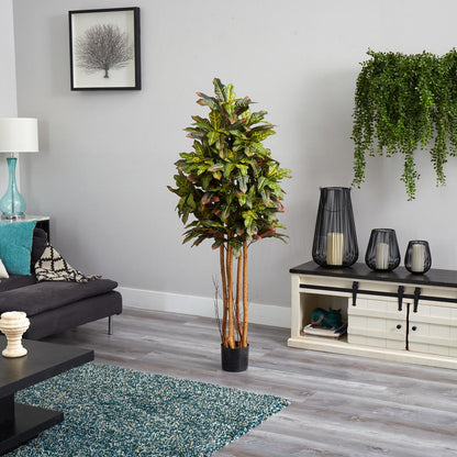 5ft. Croton Silk Tree