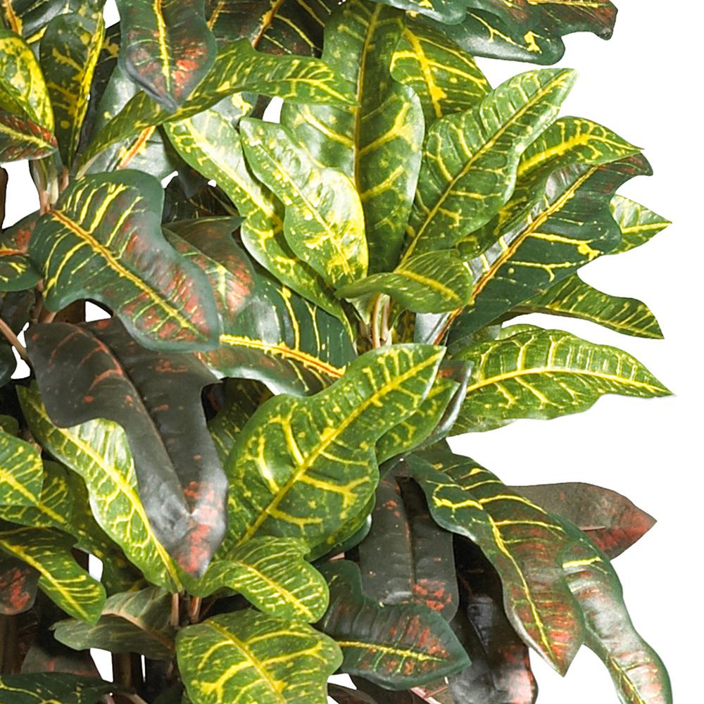 3ft. Croton Silk Tree