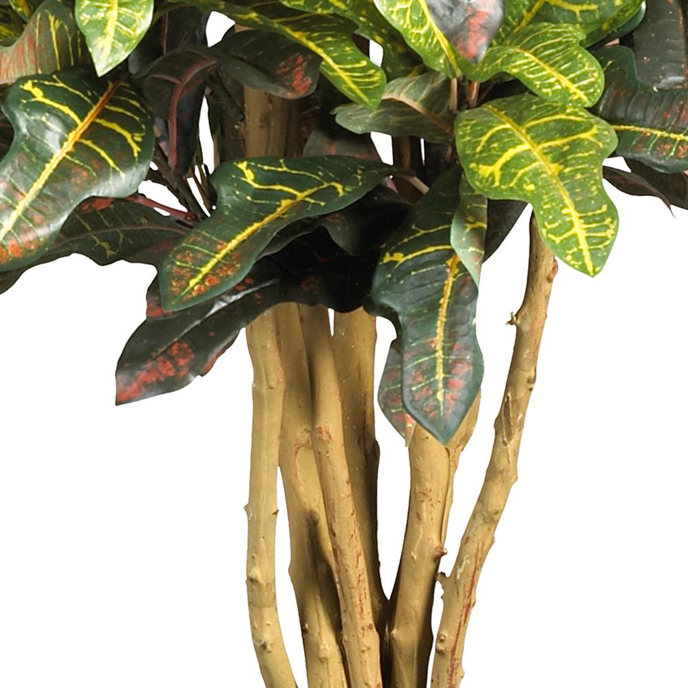 3ft. Croton Silk Tree