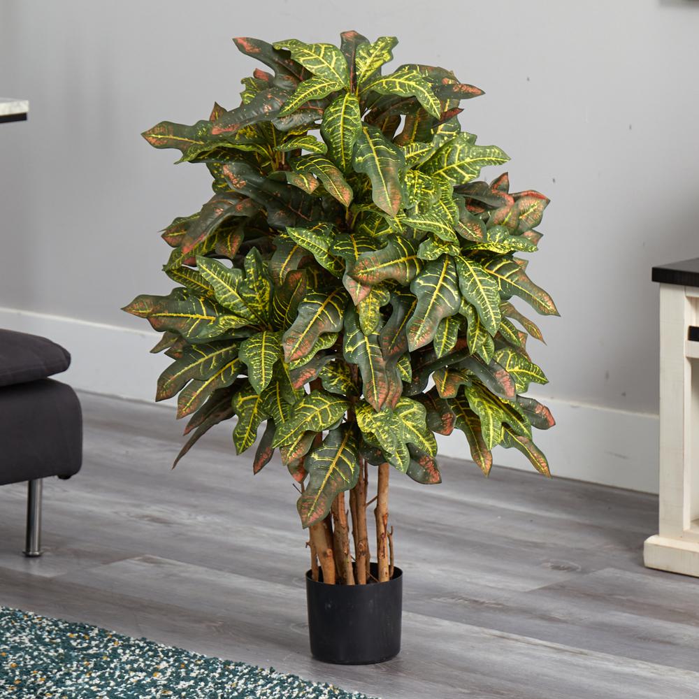 3ft. Croton Silk Tree