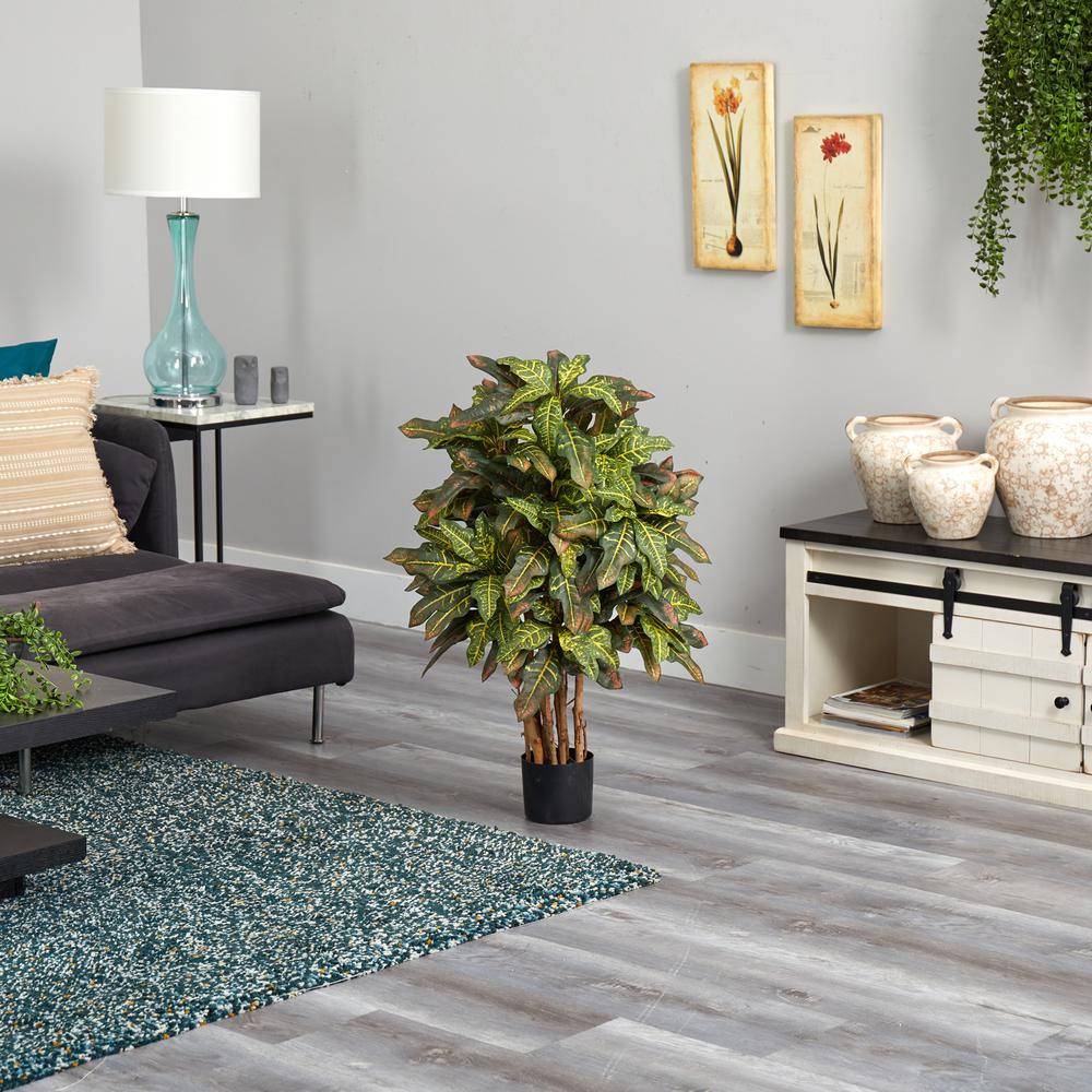 3ft. Croton Silk Tree