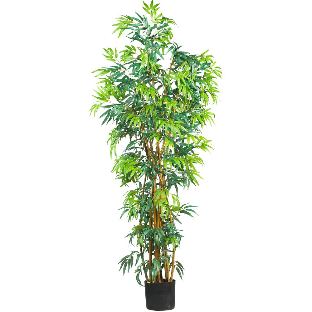 6' Fancy Style Bamboo Tree w/17,00 Lvs