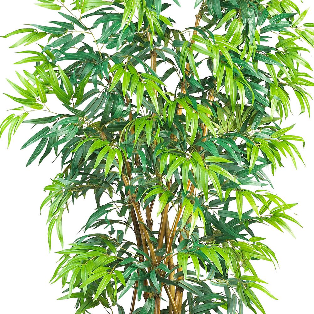 6' Fancy Style Bamboo Tree w/17,00 Lvs