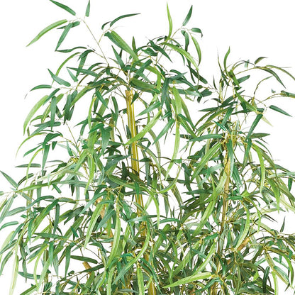 7ft. Curved Slim Bamboo Silk Tree