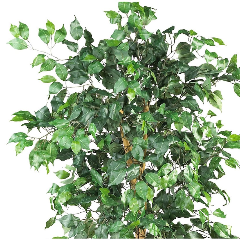 6ft. Artificial Ficus Tree